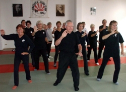 080922 ta taichi lehrgang