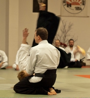 130125 aikido nikolauslehrgang 3