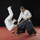 Aikido