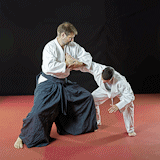 Aikido